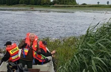 Ponad tona śniętych ryb w zalewie Stary Lubliniec. Na miejsce wysłano żołnierzy