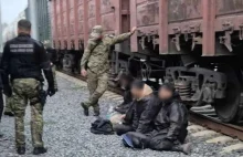 Nielegalni migranci ukryli się w pociągu. Chcieli dostać się z Białorusi do PL