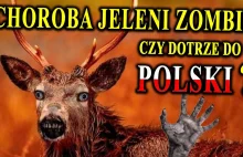 Inwazja jeleni zombie - są już w Europie! - Czy pojawią się w Polsce?