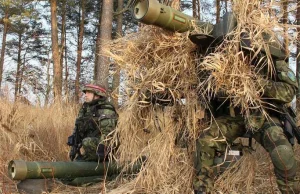 Czechy kupią pociski manewrujące Bolide. Posłużą do szwedzkich piorunów