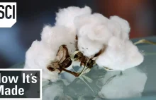 Jak wygląda proces przetwarzania bawełny?