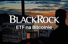 Odpowiedź na to dlaczego cena Bitcoina rośnie