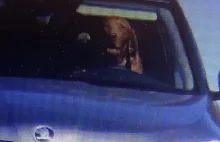 Policja przerwała przejażdżkę psa, który zasiadł za kierownicą auta