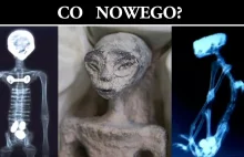 Ciała obcych z Nazca - dalszy ciąg kontrowersji
