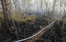 Na Białorusi paliło się największe torfowisko wysokie Europy - mokradła Jelnia