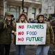 Rolnicze protesty w Wielkiej Brytanii i Francji. Niemcy będą następne?