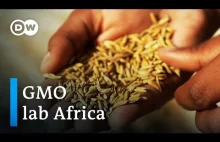 Afryka, GMO i zachodnie interesy | DW Documentary