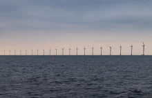 W Szczecinie powstanie fabryka morskich wież wiatrowych XXL - podpisano umowę