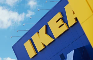 IKEA mniej zyskowna w Polsce. 5 mld zł sprzedaży, ma 6 tys. pracowników