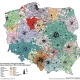 "Wszyscy jadą do miast wojewódzkich" - czyli niesamowita centralizacja Polski