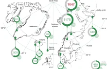 W Laponii znaleziono najstarszy krzew na świecie; ma około 1650 lat