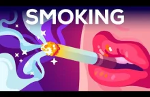 Smoking is Awesome [Kurzgezagt]