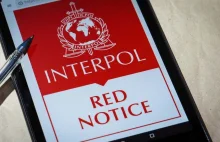 Interpol: Pierwsze aresztowaniena granicy dzięki Centrum Biometrii