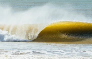Jak fale dostały prawa w Brazylii