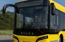 Polska ma na ulicach swój autobus elektryczny. Nazywa się Pilea