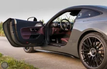 Dzik z lekkim ogłuszeniem?