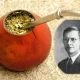 Polski król yerba mate