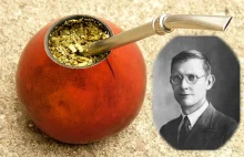 Polski król yerba mate