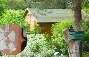 Magazyn narkotyków na działce Raszynie. Handlował n---------m zombie