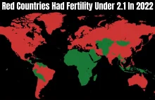 Masowa migracja nie ocali nas od kryzysu demograficznego - jedynie go pogorszy