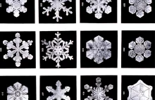 Etymologiczna opowieść zimowa: o śnieżeniu
