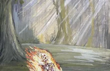 Pożar wózka inwalidzkiego przy ruchliwej ulicy. Kierowcy wybiegli z aut