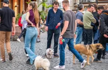 Trwają naloty na pseudohodowle. Ale zniszczyć je mogą tylko kupujący