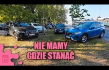 Bydło w parku Moczydło