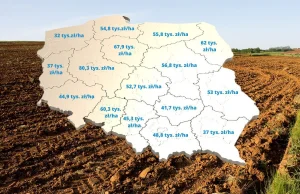 Ceny ziemi rolnej osiągają rekordowe poziomy! Gdzie najdrożej?