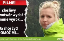 Ewa Rolnik - wspomóż zbiórkę na nierefundowane leczenie onkologiczne