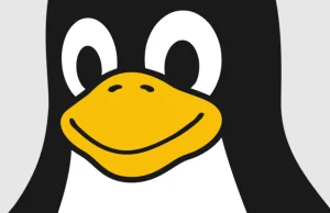 "Linux jest za darmo tylko jeśli nie cenisz swojego czasu"