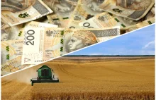 Rolnicy nie dostaną dopłat bezpośrednich za 2023 rok w terminie?