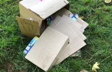 Śmieci na poznańskiej Cytadeli po festynie kultury ukraińskiej