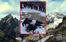Brutalna bójka nastolatek w Zakopanem. Tłum tylko stał i zachęcał