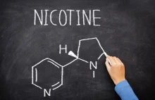 Nikotyna mity i fakty część I Chemia i toksykologia