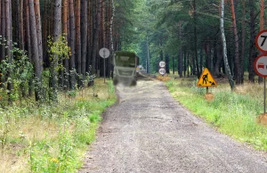 Absurd drogowy na drodze leśnej