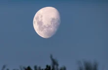 Indianie Nawaho kontra NASA. "Zostawcie święty Księżyc w spokoju"