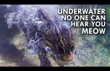 Pod wodą nikt nie usłyszy twojego mruczenia...