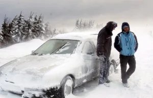 Problem braku odsnieżonych dróg we Wrocławiu: Walka z Zimową Chaosem -