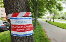 Wytną ponad 1000 drzew w Krakowie. Protest mieszkańców