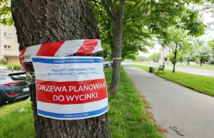 Wytną ponad 1000 drzew w Krakowie. Protest mieszkańców
