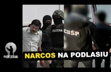 Meksykański kartel Sinaloa działał na Podlasiu