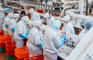 Ukraińcy uciekają z Polski. W ich miejsce ściągani są Azjaci i Latynosi.