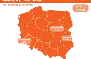 Porażające dane: ponad 11 tys. aut skonfiskowanych pijanym kierowcom