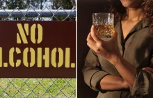 Nocny zakaz sprzedaży alkoholu działa? Miasta pokazują niepodważalne dane