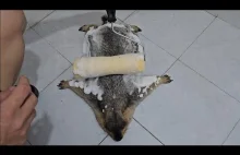 Jak umyć swojego świstaka.