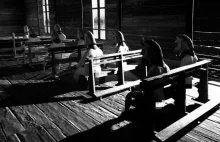 Steam wyrzuca, GOG przygarnia. Polska platforma ratuje kontrowersyjny horror