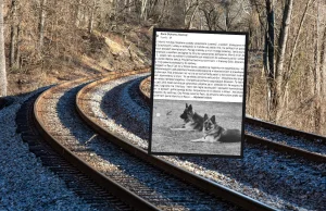 Leżały na torach. Kto zabił Azę i Morrisa? "To nie był wypadek"