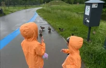 Słupsk. Dwóch typów ukradło kaczkomat