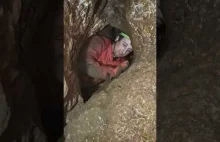 Rozkuty zacisk w jaskini